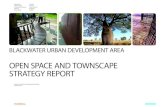 OPEN SPACE AND TOWNSCAPE STRATEGY REPORT€¦ · Townscape Strategy as prescribed by the ULDA is: 1. Open space network strategy: Respond to the current and future demands of the