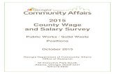 2015 County Wage and Salary Survey - Georgia...2 • DCA - 2015 County Government Wage and Salary Survey * Blank No. of Employees likely indicates position vacancy at time of reporting.