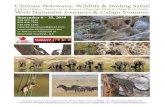 Kalahari Desert, Moremi Game Reserve, Okavango Delta ... › pdf › itineraries › 236-ultimate... · Moremi Game Reserve borders Chobe National Park. Within its boundaries lies