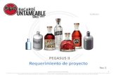 PEGASUS II Requerimiento de proyecto II_Rev5_transportad… · Requerimiento de proyecto 31/08/2015 1 Rev. 5. Proprietary Information and Confidentiality This material and its content