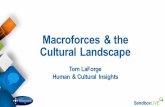 Macroforces & the Cultural Landscape€¦ · The research included a survey of 5,000 US consumers, interviews with food and beverage industry executives from 40 companies, and secondary