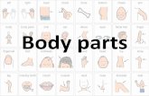 Body parts - XTEC · body fingernail leg right body parts foot missing tooth back chin forehead mouth blood ear hair muscle bone elbow hand neck bottom eyes head nose cheek facial