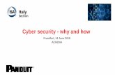 Cyber security - why and how - AISISA › wp-content › uploads › 2018 › 06 › Panduit... · Other Fieldbus 13% DeviceNET 4% CAN/CANopen 5% CC-Link 6% Modbus-RTU 6% Profibus