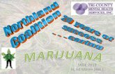 PowerPoint Presentation - Northland Coalition...2013/08/21  · Hashish Hashish Oil Marinol Rx Types Of Cannabis One of the most abused Therefore one of our biggest Problems Trace