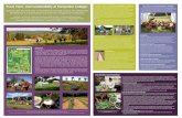 Food, Farm, and Sustainability at Hampshire College: Food ...sites.hampshire.edu › ffs › files › 2014 › 08 › small-saea-poster.pdf• Curricular innovations include 11 division