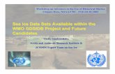 Candidates Sea ice - ICOADSWMO SIGRID (Sea Ice GRID) or SIGRID-1. The most used up to now format. Proposed by SMHI expert T.Thompson. Approved by WMO in 1989. Uses raster coding of