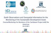Earth Observations and Geospatial Information for the ... › sites › default › files...Information (SNIEG) Key Elements Statistical and Geographical Information of National Interest
