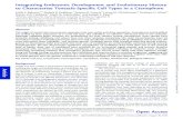 Integrating Embryonic Development and Evolutionary History ...ryanlab.whitney.ufl.edu/pdfs/doi_10.1093_molbev_msy171.pdfIntegrating Embryonic Development and Evolutionary History to