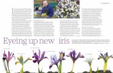 Eyeing up new iris - RHS · Eyeing up new iris I n 20 years of regular visits to RHS London Shows, I have enjoyed many displays of new and exciting plants. But few have been more