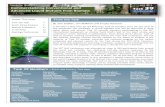 Commercializing Conventional and...Bioenergy/Biofuels symposium that will be held in Nanjing, China, prior to the International Academy of Wood Science (IAWS) conference being held