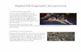 Digital Photography Assignment 2019-10-15آ  Digital Photography Assignment 1. Portrait photography Assignment:
