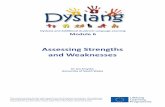 Assessing Strengths and Weaknesses - Research Dyscoverydyscovery.research.southwales.ac.uk/media/files/... · 3. The methods should include appropriate assessment tools and cognitive