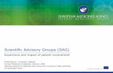 Scientific Advisory Groups (SAG · ^^l K Zl^ Z /D/W } tWñ /D/ À v & v (] -Z] l& u Á} l t^D/ ZE (Modified from M. Ouwens et al., ESFPI/PSI Benefit-Risk Special Interest Group meeting