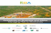 Guidelines on Business and KBAs: Managing Risk to Biodiversity on business and... · 2018-07-20 · Since its launch at the IUCN World Conservation Congress in 2016, the KBA Standard