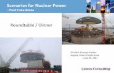 Scenarios for Nuclear Power - Linton Consulting › S-C_RT_Charlotte_06-14-2011.pdf · Scenarios for Nuclear Power --Post Fukushima Roundtable / Dinner Nuclear Energy Insider Supply