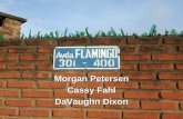 Morgan Petersen Cassy Fahl DaVaughn DixonFinal Recommendations Pave Flamingo Avenue Cost - $121,200 USD Rehabilitate 5th Ring CanalRing Canal Cost - $18,200 USD Install curb inlet