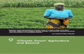 ‘Climate-Smart’ Agriculture and Beyond › documents › Publications › ... · 2013-10-15 · Changing Climate (SACC) initiative in the Nyando River Basin in western Kenya,