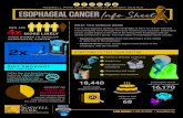 ROSWELL PARK COMPREHENSIVE CANCER CENTER …...cancer usually begins in the cells of the lining of the esophagus and can spread outward as it grows. Two main types of esophageal cancer