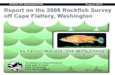 Report on the 2008 Rockfish Survey off Cape Flattery, Washington · 2019-12-19 · Rockfish species including Yelloweye, Rosethorn, SSharpchin/SStripetail grouping, TTiger, Canary,