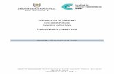 ACREDITACIÓN DE CARRERAS CONTADOR PÚBLICO Extensión … · Informe de Autoevaluación - Acreditacion Carrera de Contador Público - Extensión Áulica de Goya Convocatoria 2018