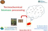 Termochemical 2 biomass processing · biodiesel, green gasoline and diesel, biomethanol…. --It is feasible to produce second generation of biofuels but further development is required