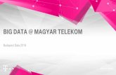 Big data @ magyar telekombiconsulting.hu/letoltes/2016budapestdata/vitarius_mtelekom_budap… · BIG DATA TECHNOLOGIES ADVANCED / REALTIME ANALYTICS BI ... IT DIRECTORATE MAGYAR TELEKOM