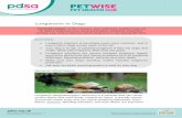 Lungworm in Dogs - People's Dispensary for Sick …Lungworm in Dogs Overview Lungworm infection is becoming much more common, and is now a risk to dogs across much of the UK. Your