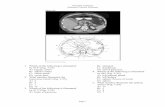 Sectional Anatomy Abdomen Practice Problems › ... › abdomen.pdf · 2018-12-02 · Sectional Anatomy Abdomen Practice Problems Page 3 11. What number illustrates the abdominal
