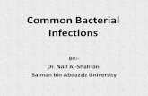 Common Bacterial Infections - psau.edu.sa€¦ · courses of oral antibiotics. Folliculitis •Factors predisposing –occlusion –maceration and hyperhydration with hot and humid