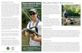 Fishing Access Information Smallmouth Bass in North ... · interactive fishing access map provides informa-tion on more than 500 public fishing areas in North Carolina, many of which