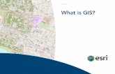 What is GIS - GIS Day · Why Geography Matters 5 A transformation is taking place. Businesses and governments, ... A GIS-based map is not much more difficult to use than a paper map.