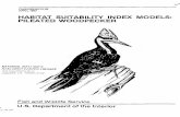 HABITAT SUITABILITY INDEX MODELS: PILEATED WOODPECKER › ... › wdb › pub › hsi › hsi-039.pdf · Fish and Wildlife Service ~ 2-10.39 ... In essence, the model presented herein