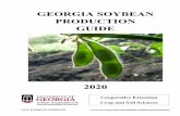 GEORGIA SOYBEAN PRODUCTION GUIDE...Planting soybeans year after year in the same field can increase incidence of disease, nematode, and soil borne insects. Furthermore, rotating soybean