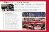 Fact Sheet Choke Tooth Extraction - XLVetsdendi.xlvets.co.uk › sites › default › files › factsheet-files › ...Dental extraction should only be carried out by a veterinary