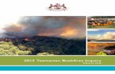 2013 Tasmanian Bushfires Inquiry · 2013-10-15 · 2013 Tasmanian Bushfires Inquiry Published October 2013 ISBN 978-0-9923581-0-5 All legislation referred to in this Report, unless