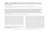 SIR2 and SIR4 interactions differ in core and extended telomeric heterochromatin …genesdev.cshlp.org/content/11/1/83.full.pdf · 2007-04-27 · SIR2 and SIR4 interactions differ