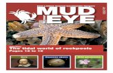 East Lothian Council Countryside Rangers › download › downloads › ... · ‘Mud in Your Eye’ ... web at night, or in adverse weather conditions, and feed avidly whenever the