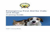 Emergency First Aid for Cats and Dogs. Emergency First Aid for...Empower Floridians through training and resource coordination to enhance all-hazard disaster planning and response