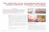 The diabetic foot: managing infection using Cutimed ...globalmedics.co.nz/...Hampton_Diabetic_Foot_Product... · The diabetic foot: managing infection using Cutimed® Sorbact® dressings