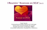 I Reunión “Avances en SCA”(día 2)secardiologia.es/cursos/2013-avances-sca/avances/pdf/01b_Cequier... · Tarantini G, et al. EHJ 2010; 31: 676 / Tarantini G, et al. AHJ 2011;