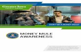 MONEY MULE AWARENESS - Greater Iowa Credit Union Mule... · 2018-12-27 · services as a money mule on the Darknet, to include what actions they offer and at what prices. This may