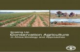Scaling-up Conservation Agriculture in Africa: Strategy and … · 2014-05-16 · During the Workshop, thirteen papers covering challenges for promoting Conservation Agriculture for