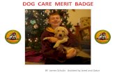 DOG CARE MERIT BADGEmeritbadgehelpbsa.sirjames.info/wp-content/uploads/... · You will need to have the worksheet filled out completely with quality. You will have to have done Requirement