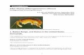 Killer Shrimp (Dikerogammarus villosus · towards native invertebrate species. Due to its large body size and well developed mouthparts, D. villosus is an effective predator, which