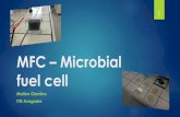 MFC Microbial fuel cell - ITIS Avogadro · MFC –Microbial fuel cell Matteo Giardino ITIS Avogadro 1. Glycolysis 2. Cellular respiration 3. ... Fuel cell case side . Matteo Giardino,