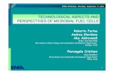 TECHNOLOGICAL ASPECTS AND PERSPECTIVES OF MICROBIAL FUEL …old.enea.it/com/web/Bruxelles/Eventi/Microbial... · Microbial Fuel Cell (MFC) preliminary remarks Given the world's limited