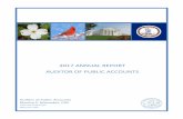 2017 Annual Report Auditor of Public Accounts · Subcommittee on Local Government Fiscal Stress, Local Government Fiscal Distress Workgroup, Virginia Association of Counties, Virginia