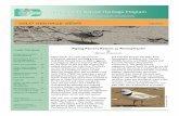 Pennsylvania Natural Heritage Program Q3 PNHP newsletter.pdf · Natural History, we developed a plan to remove these invasive and nuisance plants and to manage the area for shorebirds