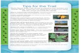 Tips for the Trail - South Carolina Parks | South Carolina ... › files › State Parks...Scavenger Hunt Answers Use this information to check your answers from the self led scavenger