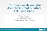 Hot Topics in Meaningful Use: The Current & Future HIE ...€¦ · Day 1 - Session 3: Hot Topics in Meaningful Use Patient Engagement • Overarching concerns • Maintaining privacy